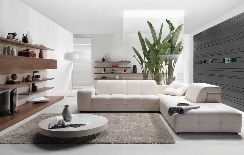 Captivating Modern Living Room Decoration