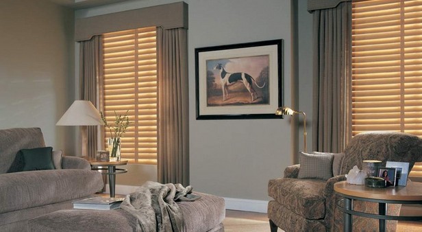 Living room curtains with blinds