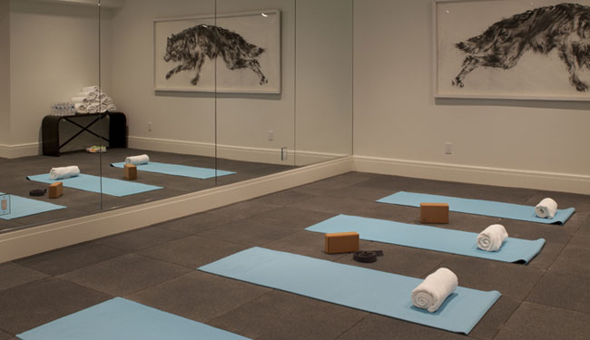 Wall mirrors for yoga studio