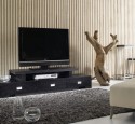 Black contemporary tv stands