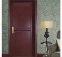 Front door handle euro lock