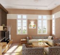 Living room pictures with area rugs
