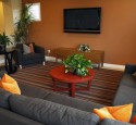Living room design ideas with brown leather sofa