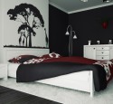 Black and white wall art with color