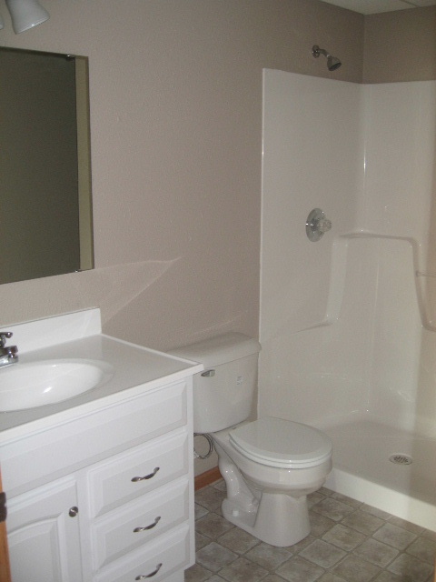 Basement bathroom design
