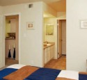 One bedroom apartments for rent