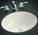 Kohler bathroom sinks and faucets