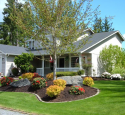 Front Yard Garden Ideas No Grass