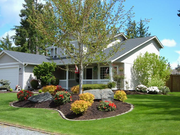 Front Yard Garden Ideas No Grass
