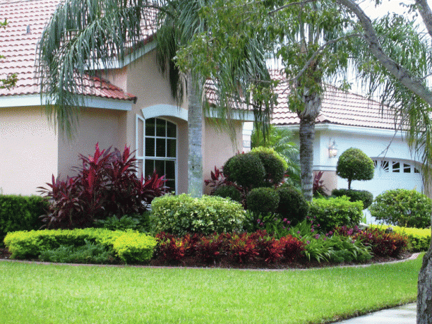 Front Yard Garden Ideas Pictures