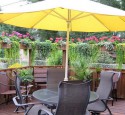 Best Patio Screening Ideas
