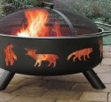 Coleman Fire Pit