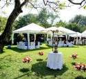Backyard Tent Bridal Shower