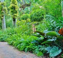 Tropical American Landscaping