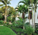 Tropical Landscaping Designs
