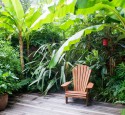 Tropical Landscaping Ideas Around Pool