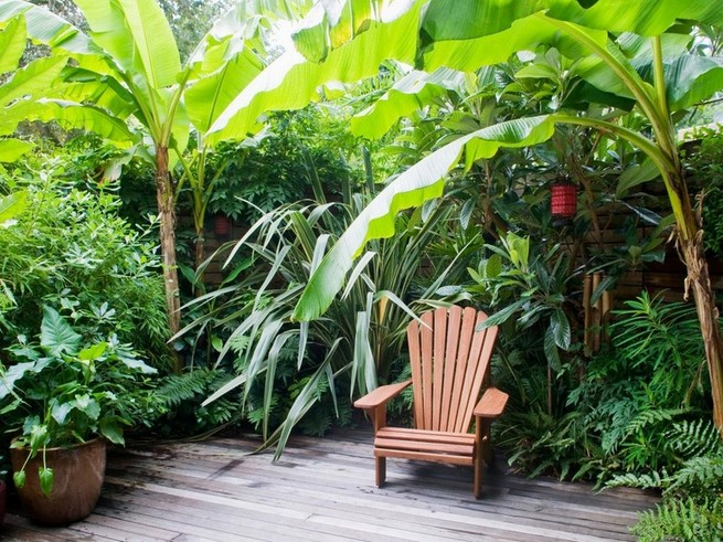 Tropical Landscaping Ideas Around Pool
