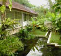 Tropical Landscaping Ideas For Front Yard