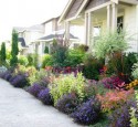 Front Yard Garden Bed Ideas