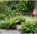 Tropical Landscaping In Florida