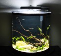 Marineland 20 Gallon Aquarium
