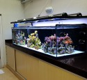 Best 200 Gallon Aquarium