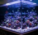 300 Gallon Aquarium Kit