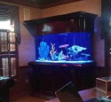 300 Gallon Aquarium Glass