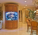 300 Gallon Tall Aquarium
