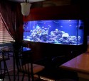 200 Gallon Reef Ready Aquarium
