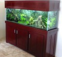 200 Gallon Aquarium Hood
