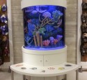200 Gallon Corner Aquarium