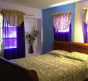 Basement Window Covering Options
