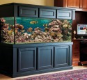 200 Gallon Aquarium Tank