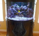 200 Gallon Oceanic Aquarium