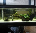 20 Gallon Aquarium Kits