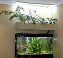 300 Gallon Aquarium Lighting