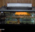 20 Gallon Aquarium Cover