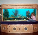 200 Gallon Plywood Aquarium
