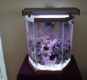 20 Gallon Hexagon Aquarium Hood