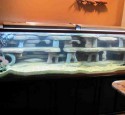 200 Gallon Aquarium Diy