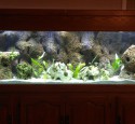 200 Gallon Long Aquarium