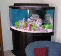 300 Gallon Oceanic Aquarium