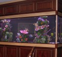 300 Gallon Round Aquarium