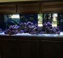 200 Gallon Aquarium With Stand