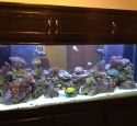 200 Gallon Aquarium Stand