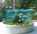 200 Gallon Goldfish Aquarium