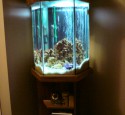 200 Gallon Hexagon Aquarium
