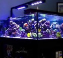200 Gallon Rimless Aquarium