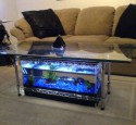 20 Gallon Long Acrylic Aquarium